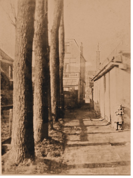 01 foto 7106 rand re