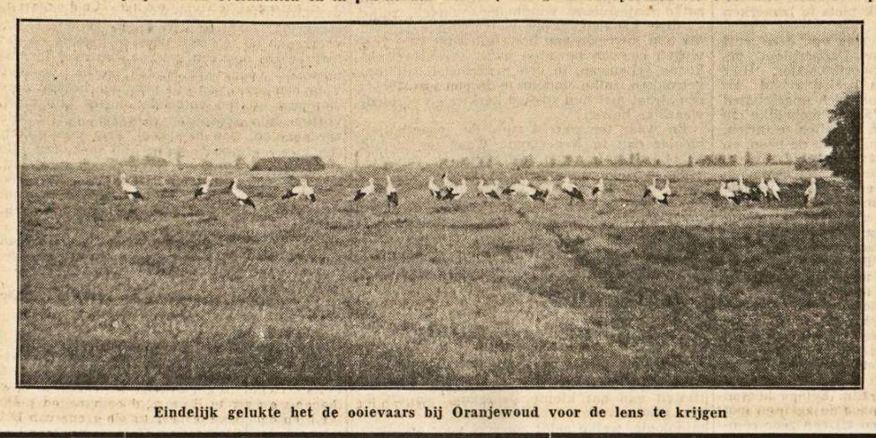 hip 135 5 5 1939 8 22 LC groep Oranjewoud