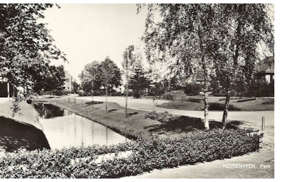 hip 135 8 Crackplantsoen nieuw