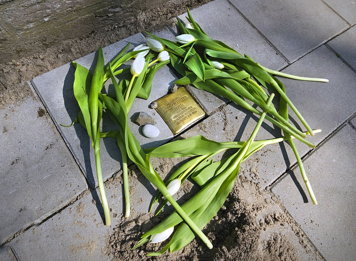 stuikelsteen salomon machiel noach heerenveen stolperstein
